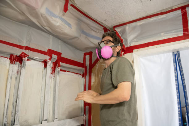 Best Forensic Mold Investigation  in Plymouth, MI