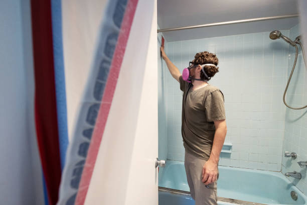 Best Indoor Air Quality Assessment  in Plymouth, MI