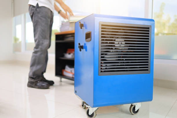 Best Mold-Related Health Consultation  in Plymouth, MI