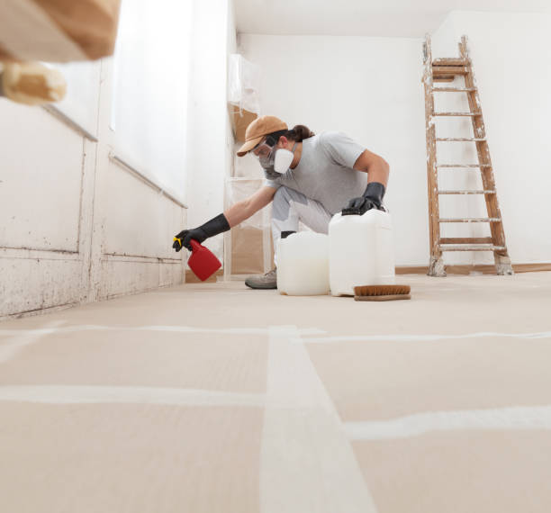 Best Residential Mold Inspection & Testing  in Plymouth, MI